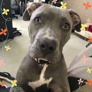 Meet your Posher, Donna